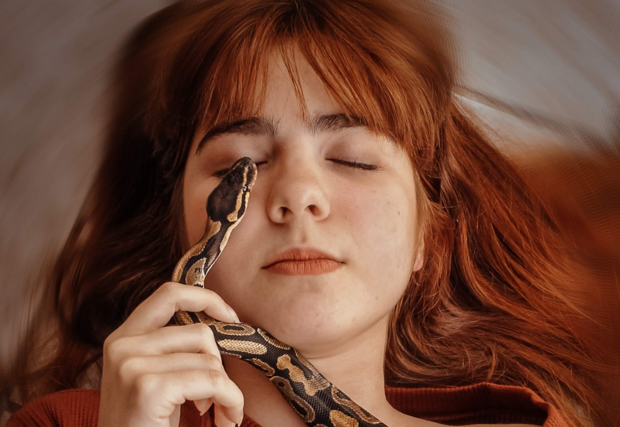¿Qué significa soñar con serpientes? Descubre su significado