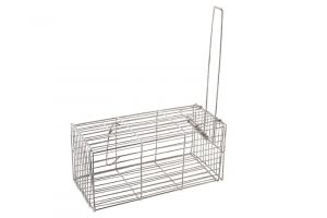 ¿Cuál es la mejor trampa jaula para ratones?